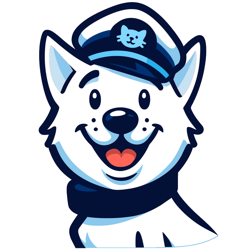 free-video-surveillance.com